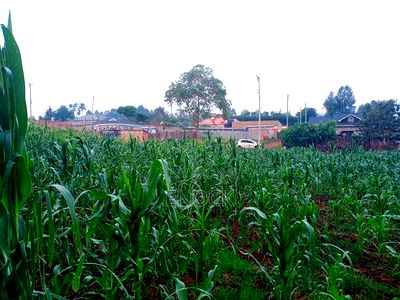 Prime 1/4acre Land for Sale in Kipkorgot, Eldoret - Image 3