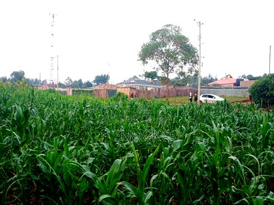 Prime 1/4acre Land for Sale in Kipkorgot, Eldoret - Image 1