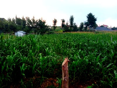 Prime 1/4acre Land for Sale in Kipkorgot, Eldoret - Image 4
