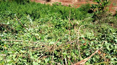 Plots for Sale Along Ngong-Suswa Road - Image 2