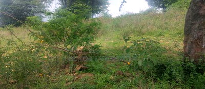 Embu County, Mutuobare Town 2acres Along the Main Tarmac - Image 16