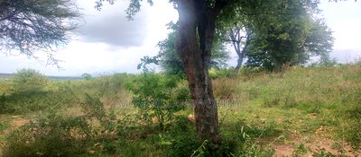 Embu County, Mutuobare Town 2acres Along the Main Tarmac - Image 9