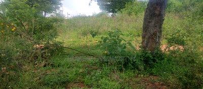 Embu County, Mutuobare Town 2acres Along the Main Tarmac - Image 17