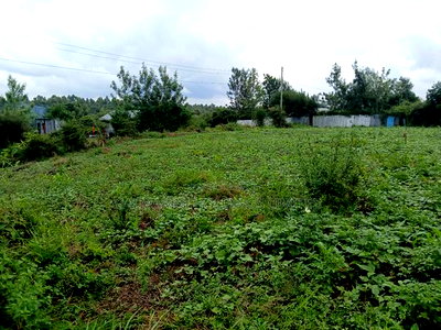 Distress Sale! Half Acre Plot With Good Views in Matasia - Image 1