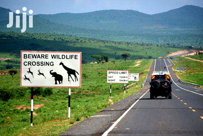 Kimana 60acres Near Sopa Lodge Amboseli - Image 4