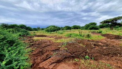 Kimana 60acres Near Sopa Lodge Amboseli - Image 8