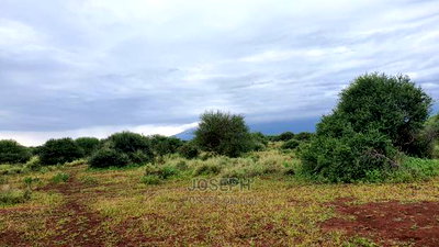Kimana 60acres Near Sopa Lodge Amboseli - Image 7