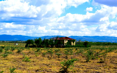 50x100 Plot with Garden at KSh 950K
