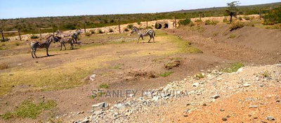 Lands in Endana Nanyuki - Image 2