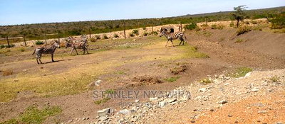 Lands in Endana Nanyuki - Image 4