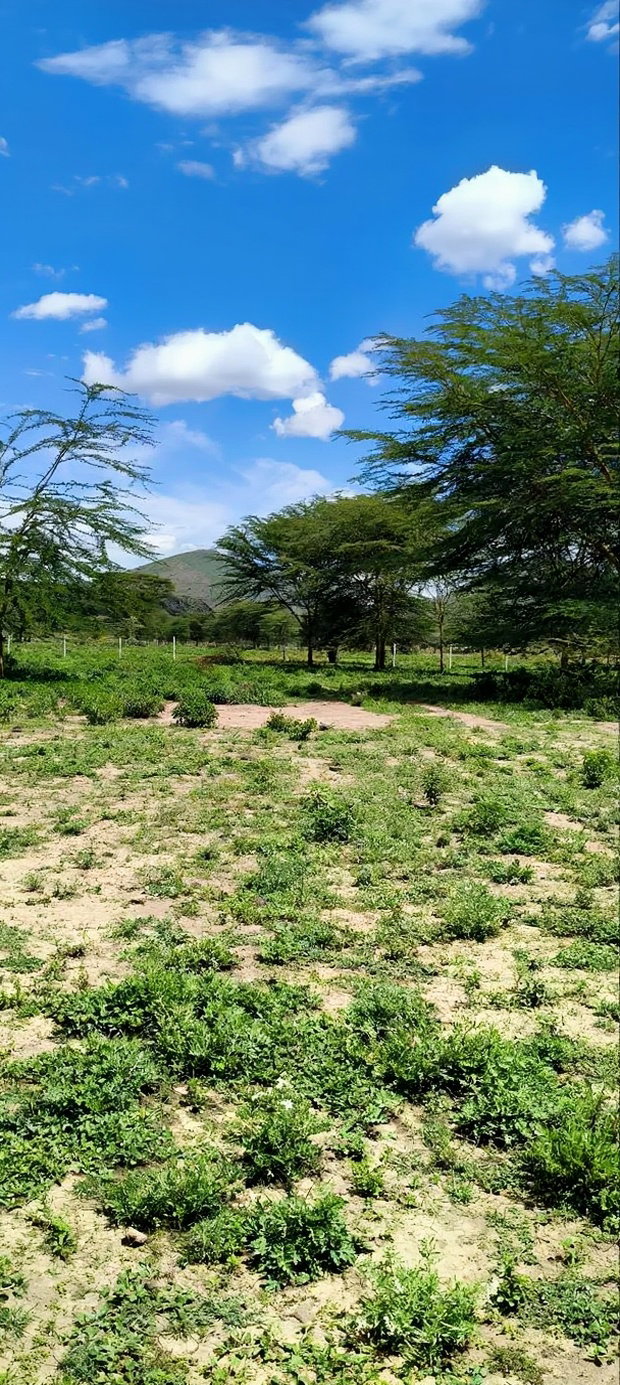 Nakuru Prime Plots for Sale