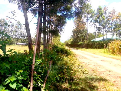 50*100 Plota Near Simba Cement, Rongai, Nakuru - Image 3