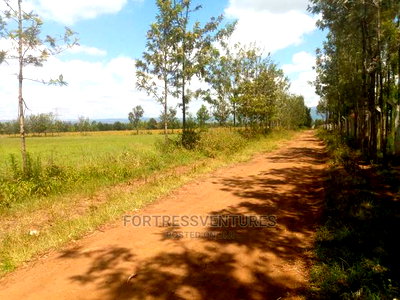 50*100 Plota Near Simba Cement, Rongai, Nakuru - Image 2