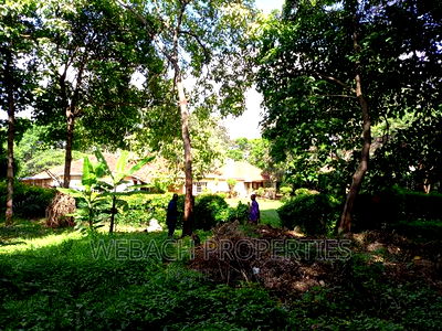 0.9 Acres Piece of Land for Sale Lavington - Image 5