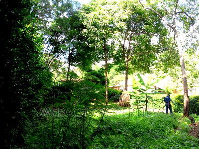 0.9 Acres Piece of Land for Sale Lavington - Image 4