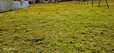 Commercial Plot for Sale in Kimumu Peris Eldoret - Image 2