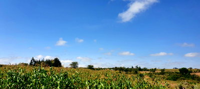 1.1 Acre Plot in Narok