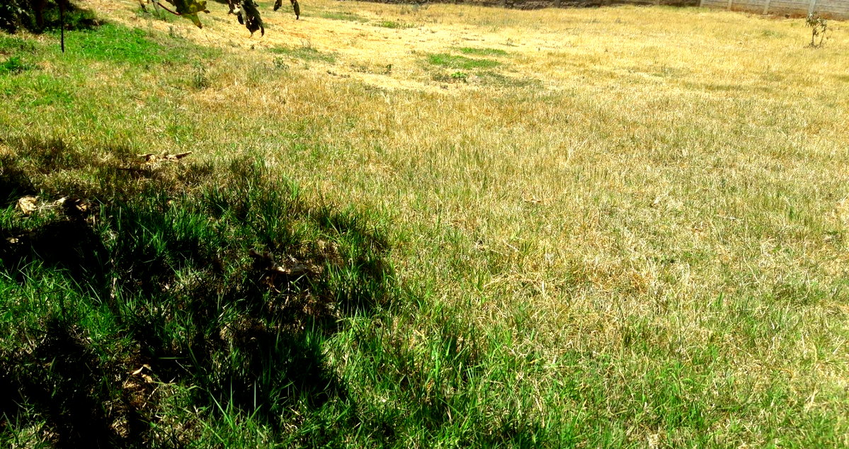 Half Acre Plot in Uthiru