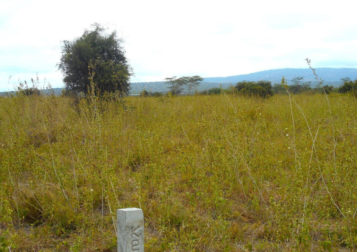 5-Acre Land with Garden and Parking - Mombasa Rd