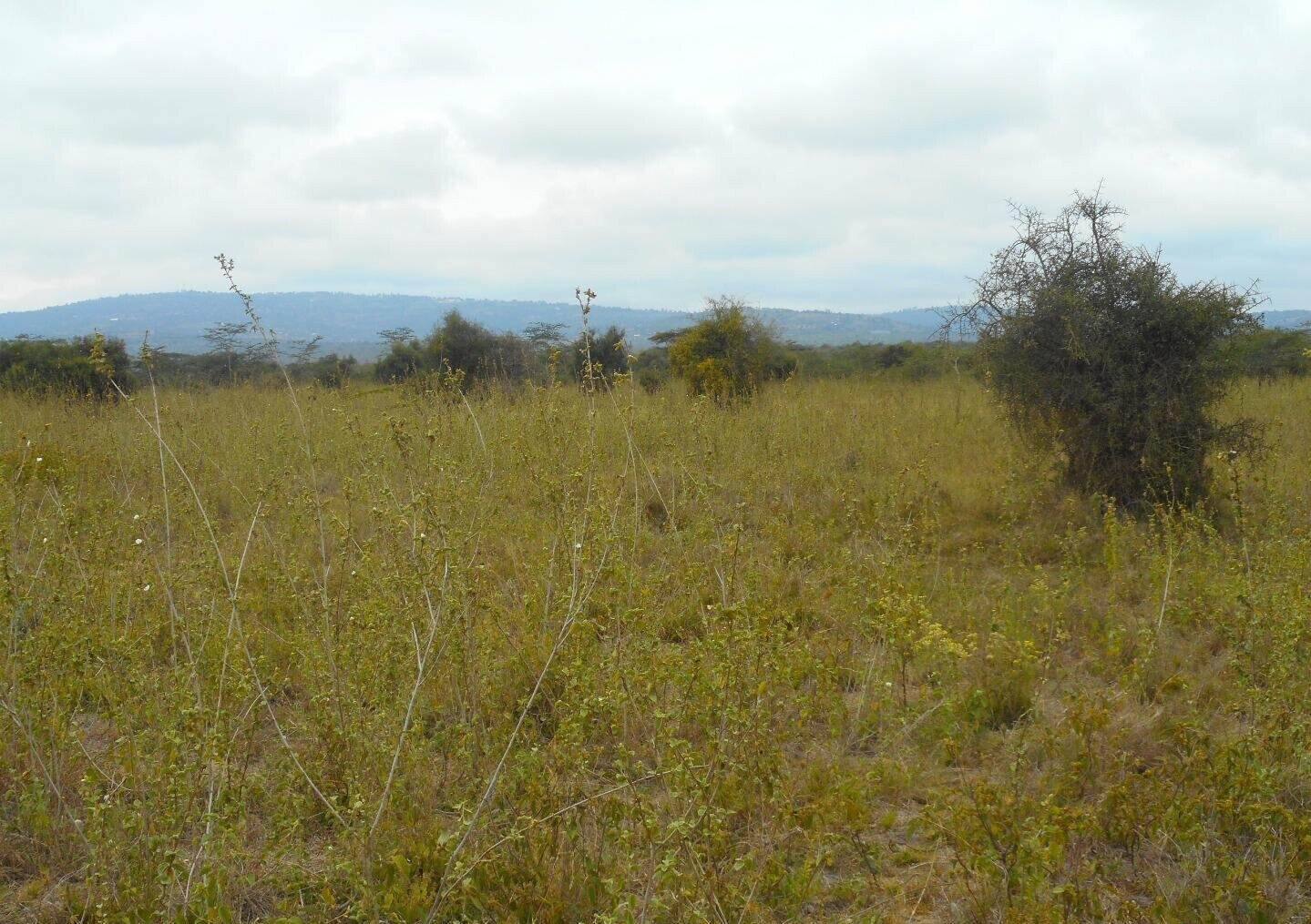 5-Acre Land with Garden and Parking - Mombasa Rd