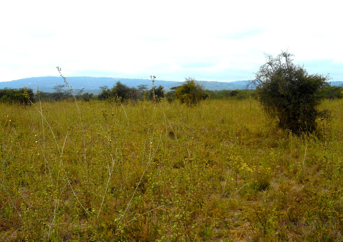 5-Acre Land with Garden and Parking - Mombasa Rd