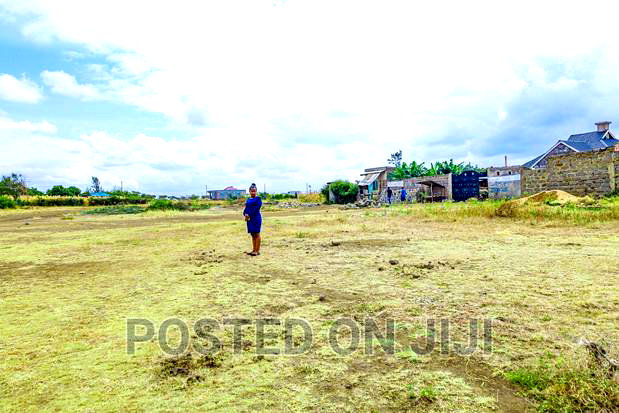 Mixed Use Murera Plots