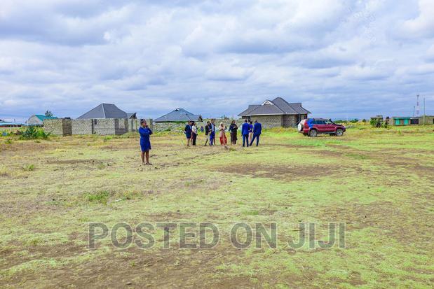 Mixed Use Murera Plots