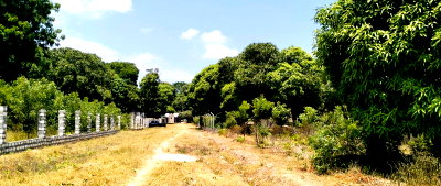 Half Acre Gated Plot at KSh 6.8M
