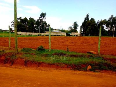 Prime 1/4acre Residential Plots in Ilula, Eldoret - Image 4