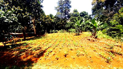 Vacant Plot for Sale in Lavington - Image 3