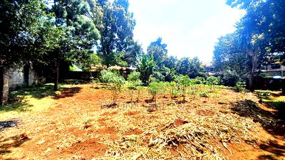 Vacant Plot for Sale in Lavington - Image 1