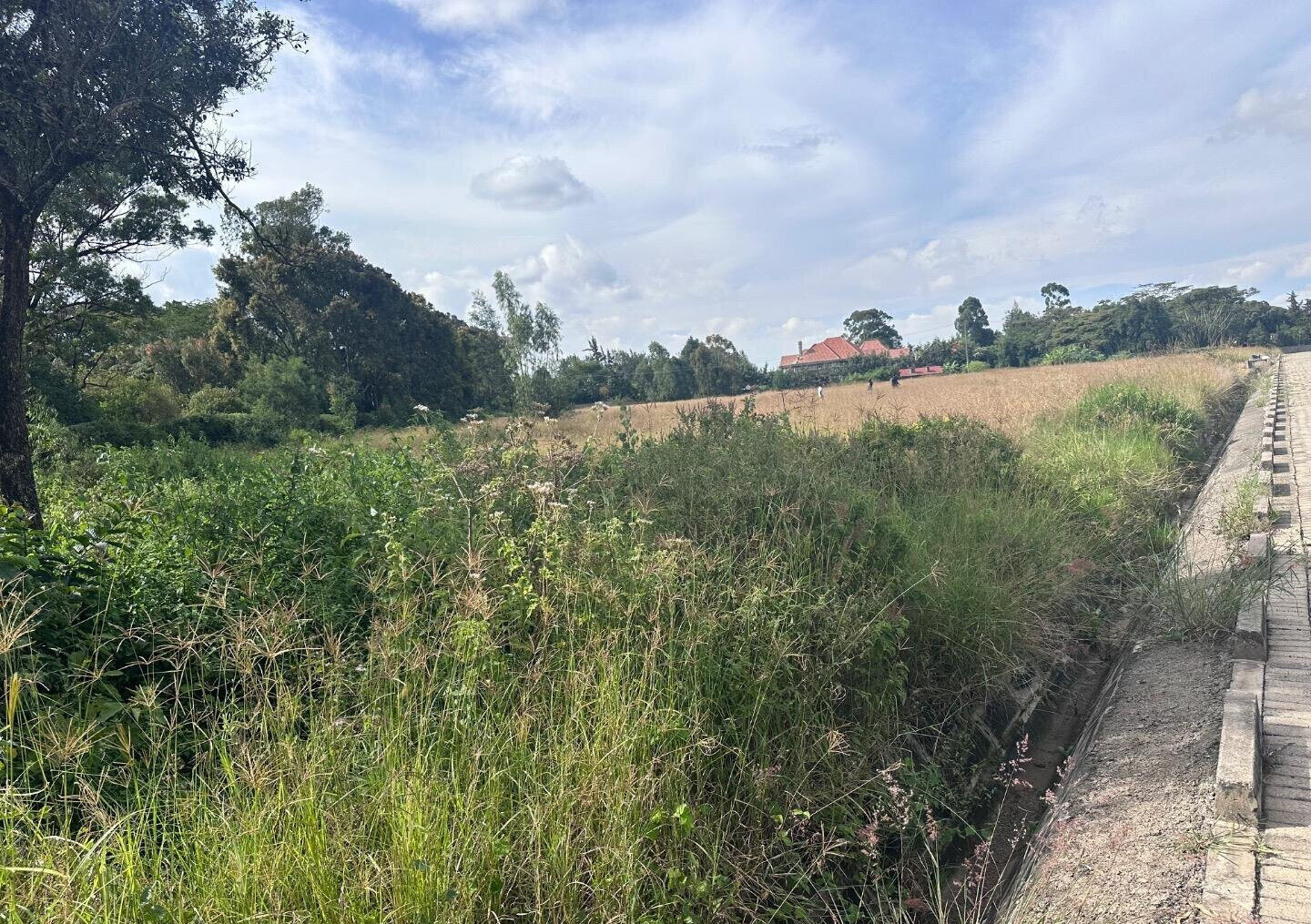 Half Acre Garden Plot at KSh 42M