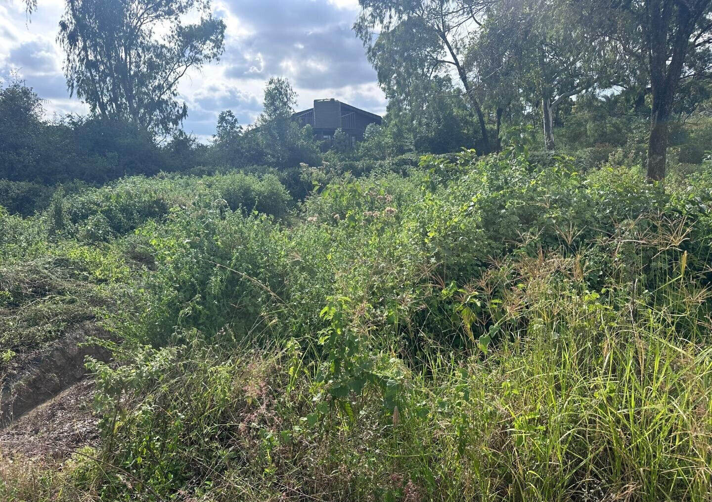 Half Acre Garden Plot at KSh 42M