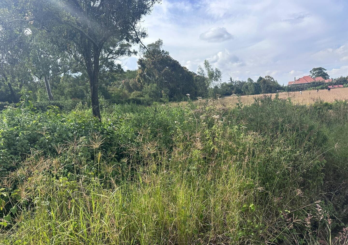 Half Acre Garden Plot at KSh 42M
