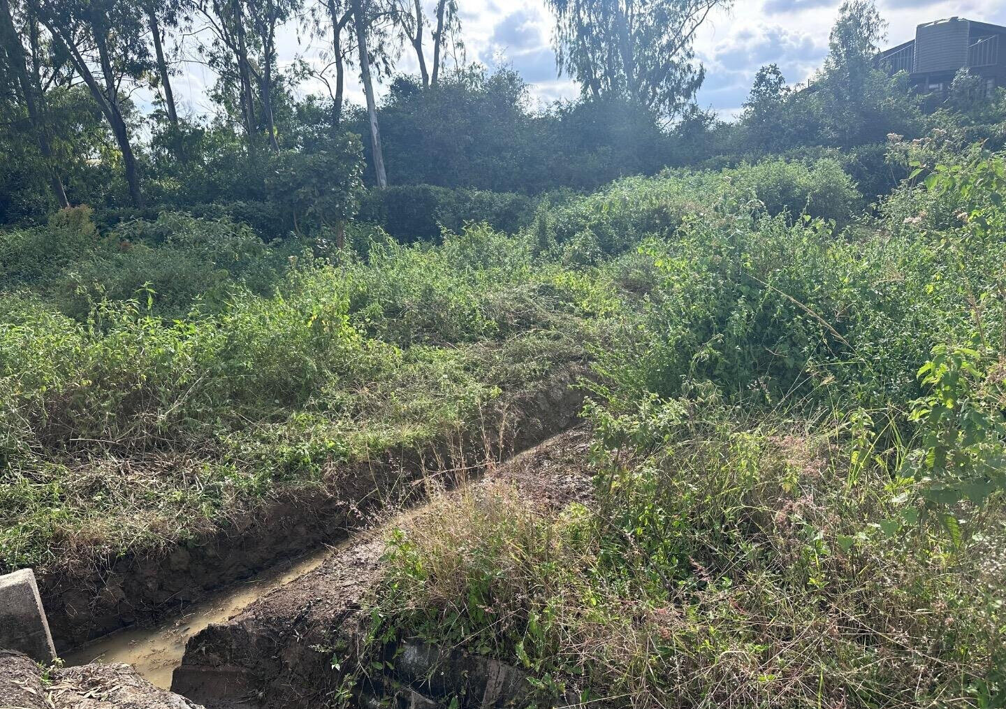 Half Acre Garden Plot at KSh 42M
