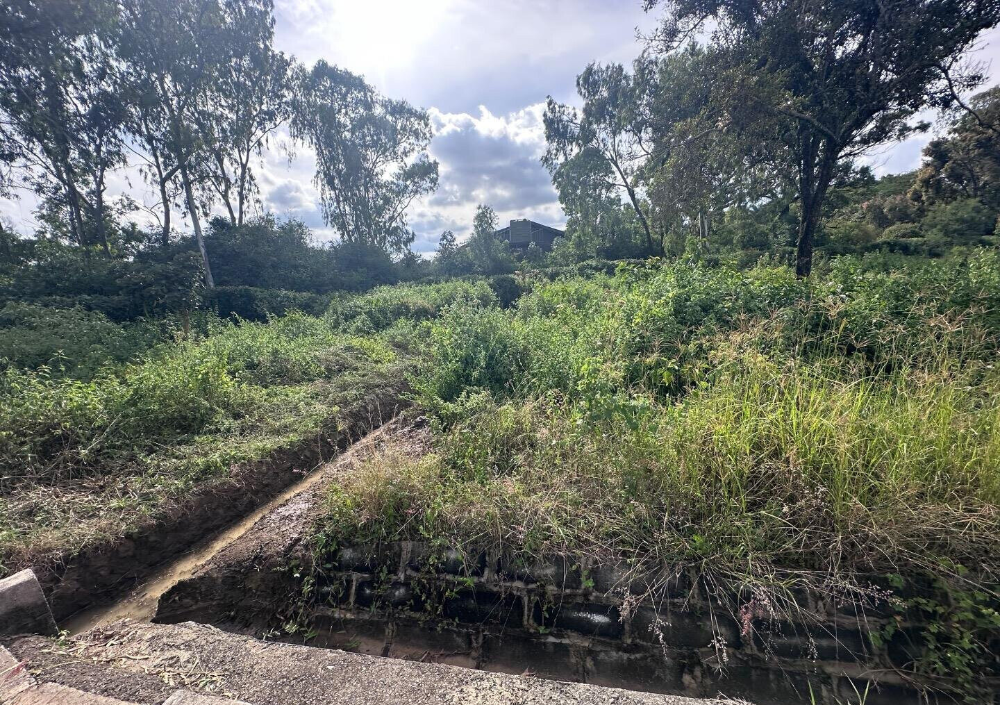 Half Acre Garden Plot at KSh 42M