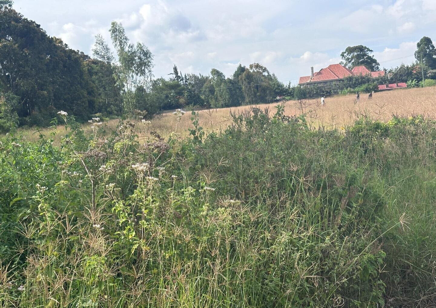 Half Acre Garden Plot at KSh 42M