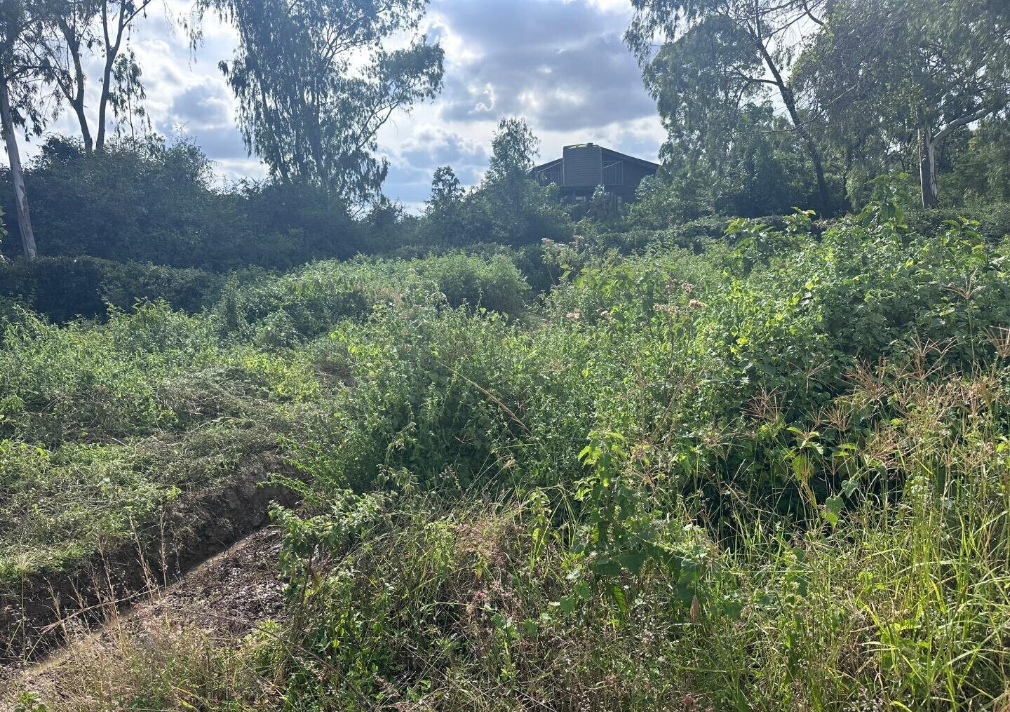 Half Acre Garden Plot at KSh 42M