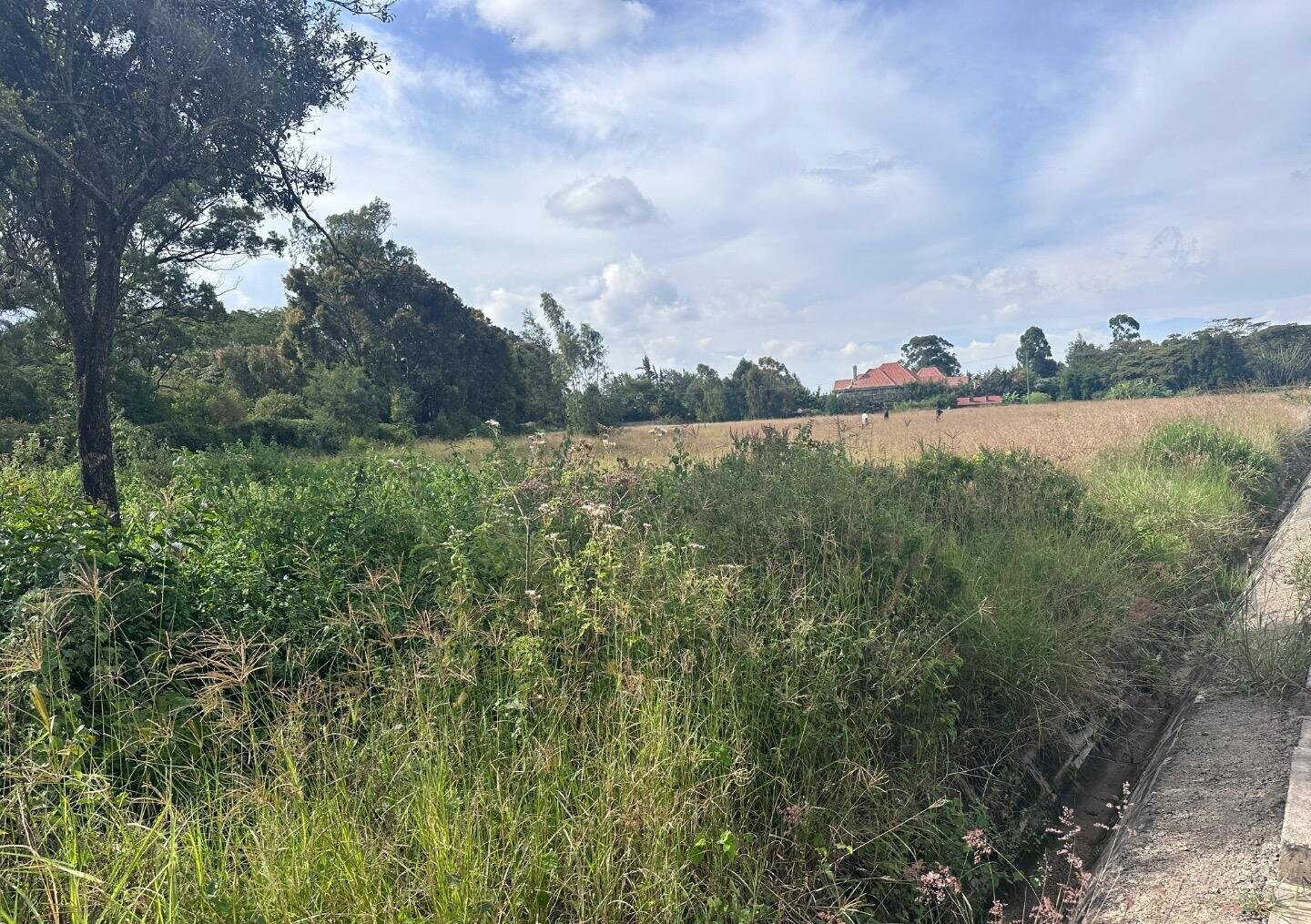 Half Acre Garden Plot at KSh 42M
