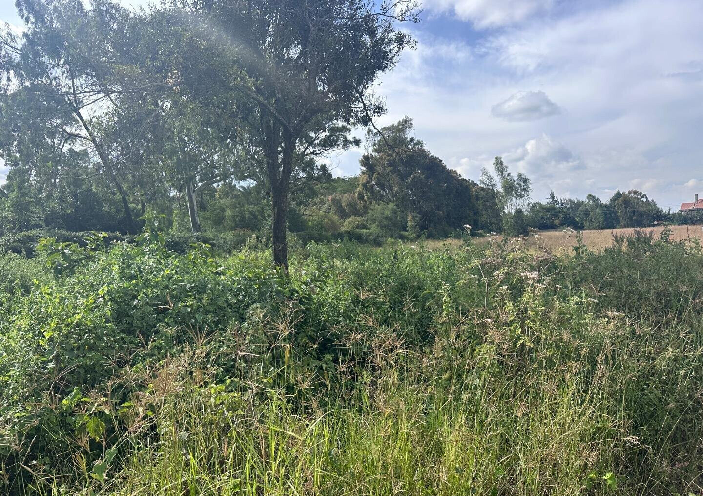 Half Acre Garden Plot at KSh 42M