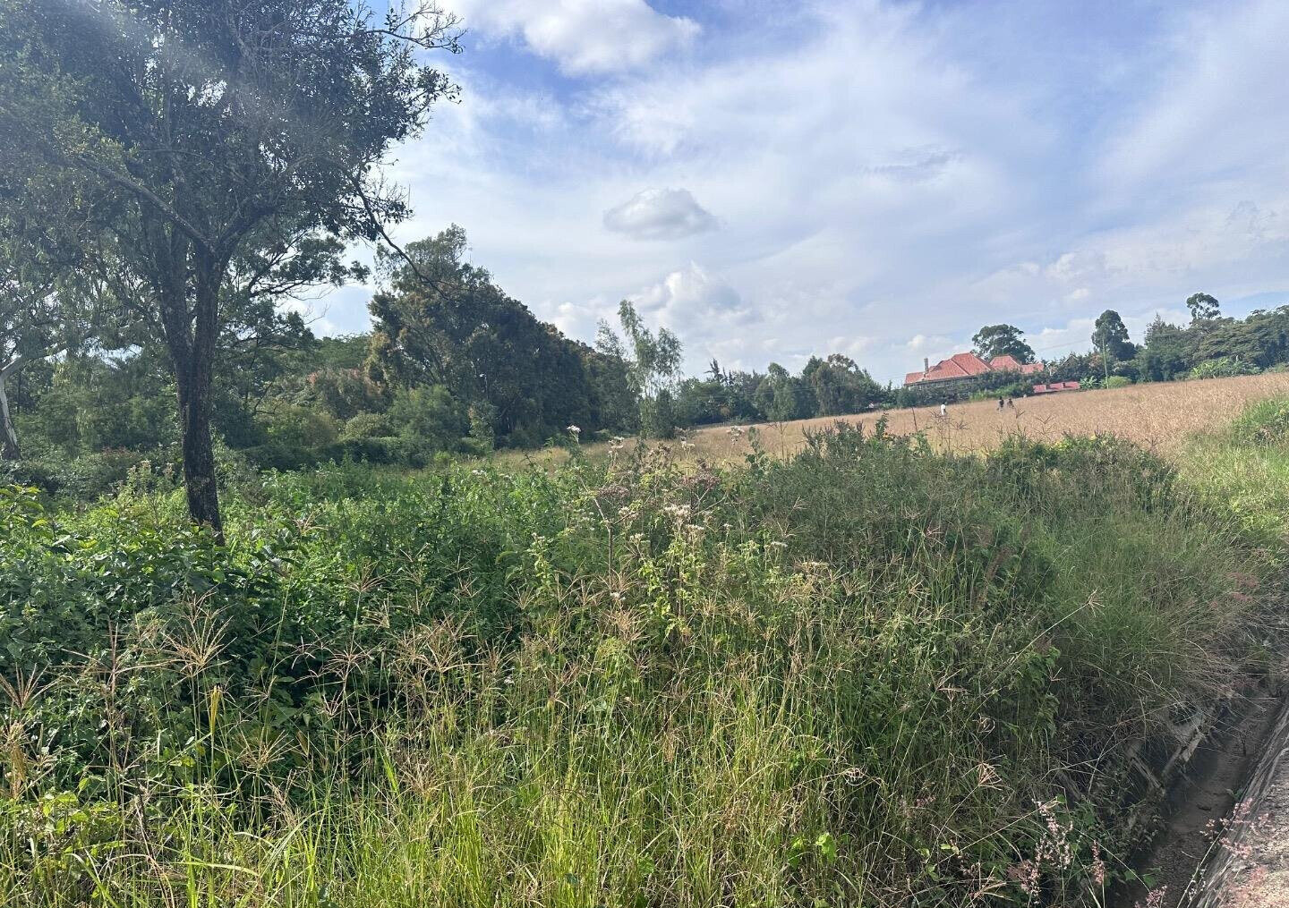 Half Acre Garden Plot at KSh 42M