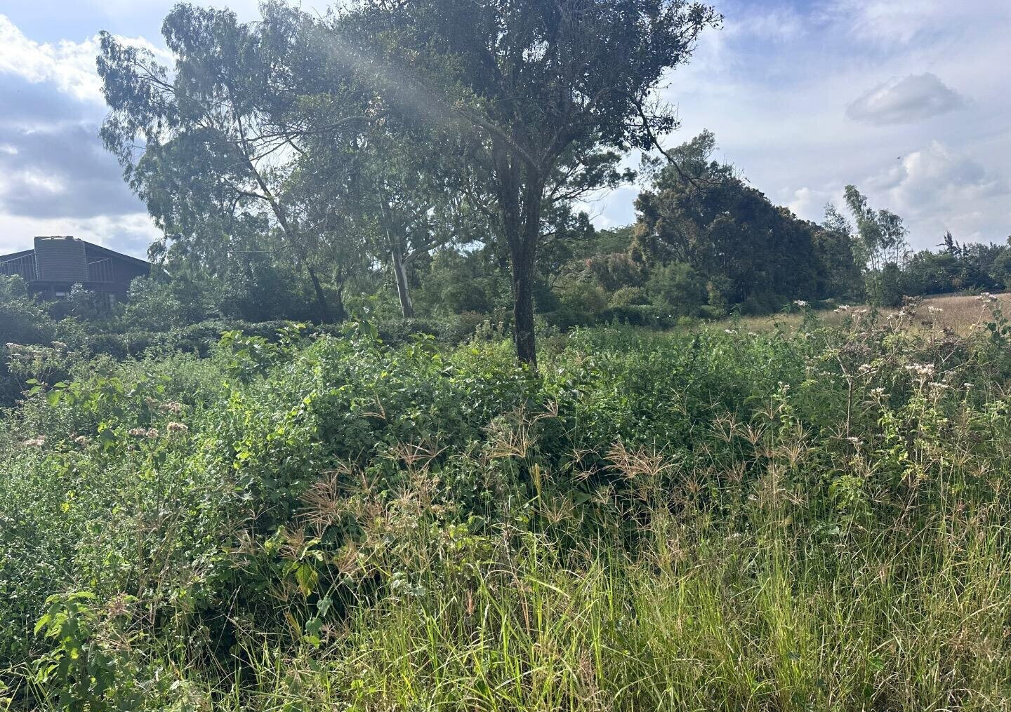 Half Acre Garden Plot at KSh 42M