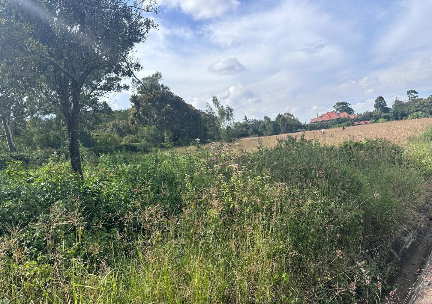 Half Acre Garden Plot at KSh 42M