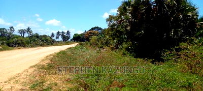 High-End 8 Acres Beach Plot on Sale in Msambweni Beach. - Image 5