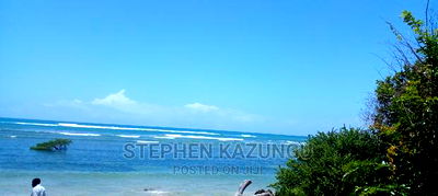 High-End 8 Acres Beach Plot on Sale in Msambweni Beach. - Image 1