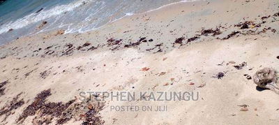 High-End 8 Acres Beach Plot on Sale in Msambweni Beach. - Image 13