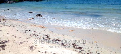 High-End 8 Acres Beach Plot on Sale in Msambweni Beach. - Image 12