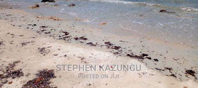 High-End 8 Acres Beach Plot on Sale in Msambweni Beach. - Image 9