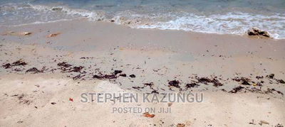 High-End 8 Acres Beach Plot on Sale in Msambweni Beach. - Image 8