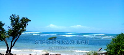 High-End 8 Acres Beach Plot on Sale in Msambweni Beach. - Image 6